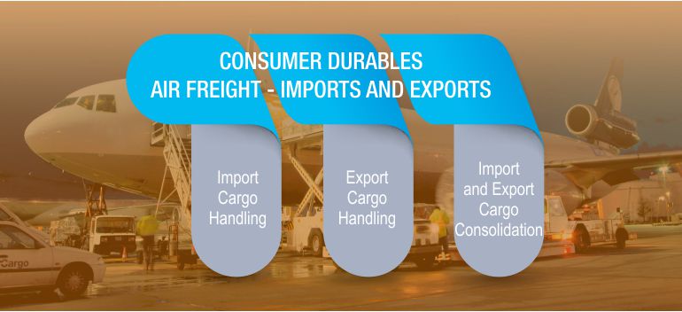 Import Cargo Handling, Export Cargo Handling, Import and Export Cargo Consolidation
