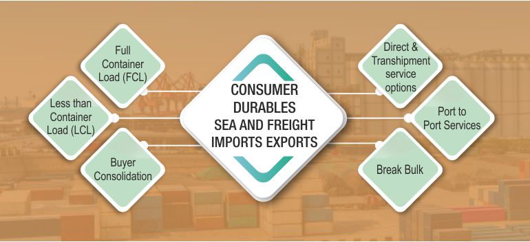 Full Container Load (FCL), Less than Container Load (LCL), Buyer Consolidation, Direct & Transhipment service options, Port to Port Services, Break Bulk