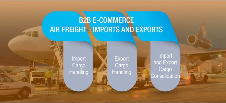 Import Cargo Handling, Export Cargo Handling, Import and Export Cargo Consolidation