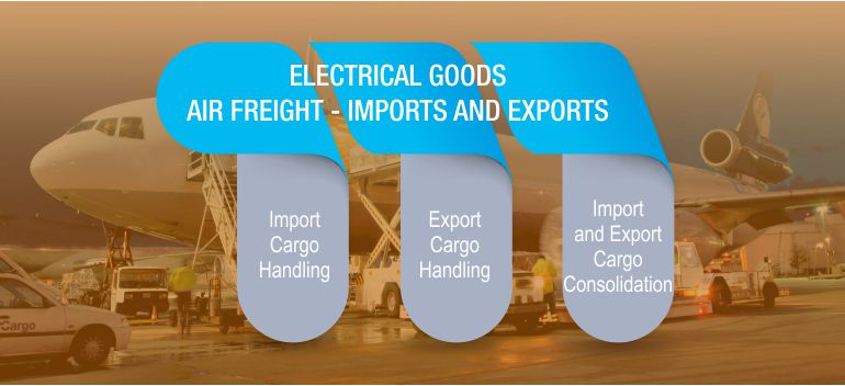 Import Cargo Handling, Export Cargo Handling, Import and Export Cargo Consolidation